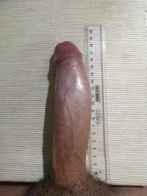 Big or average? by No_Sentence_1862