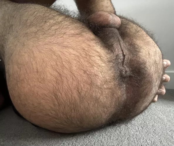 Bored at home…what would you do? by Own-Professional6101