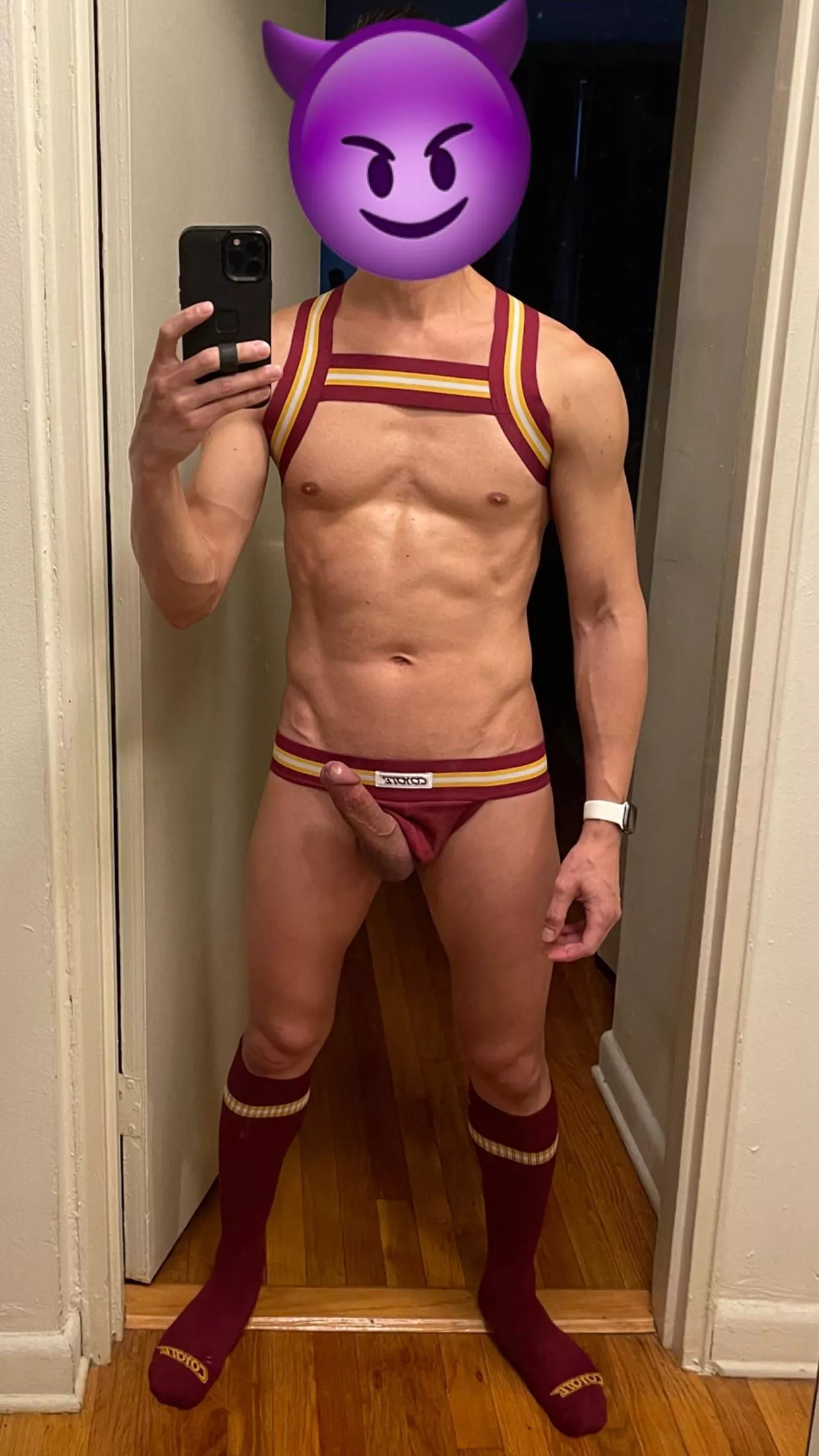 I got broke down and bought the matching harness and socks [30s] posted by sohoriot212