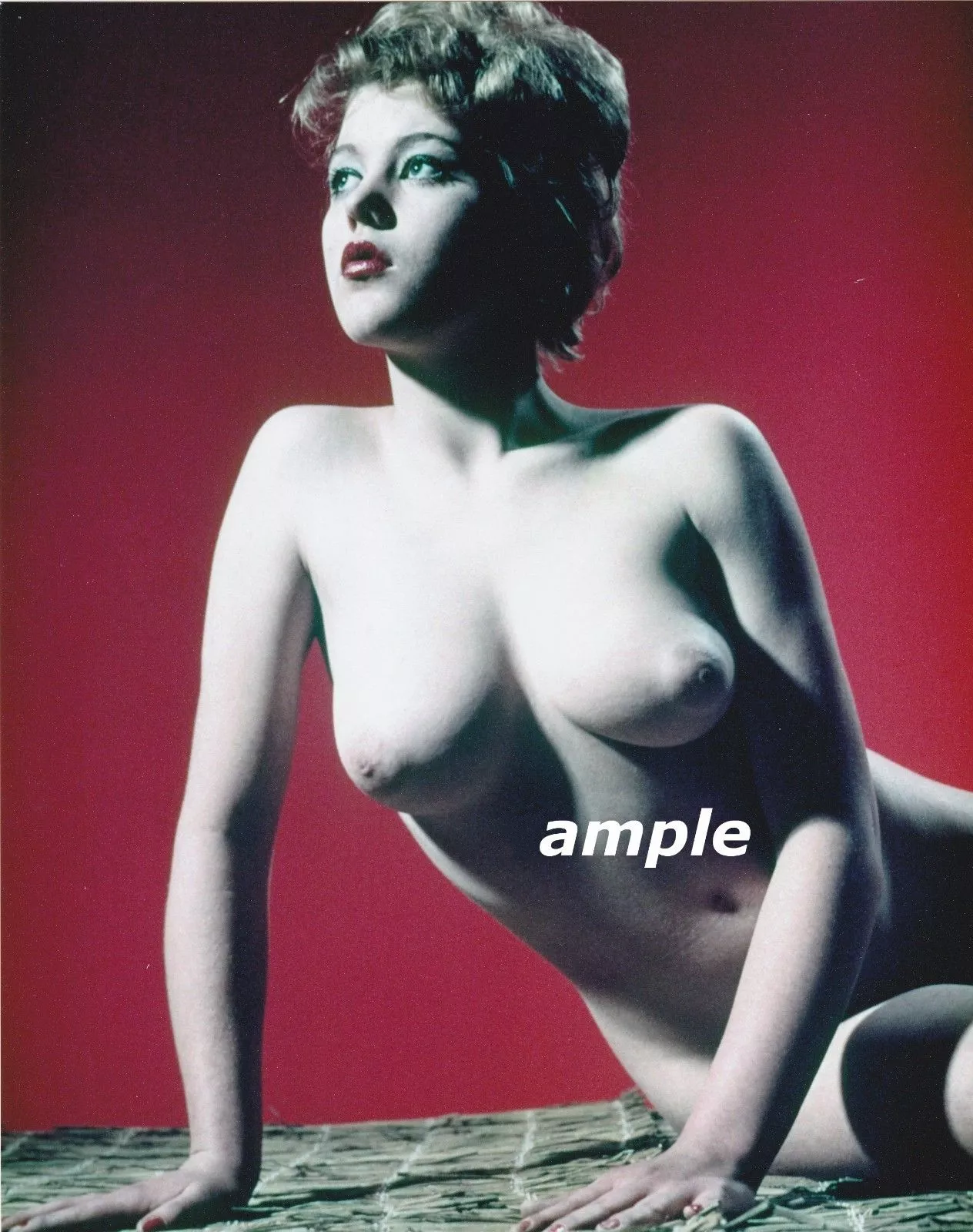 Margaret Nolan 60's. Took out the 'S', it just seemed to work posted by MugPuntertoo