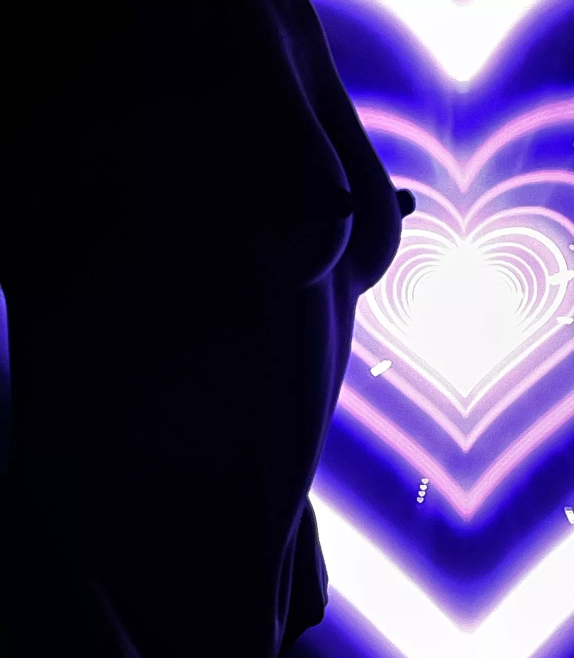 Silhouettes of side boobs your thing ? posted by indiegirl18