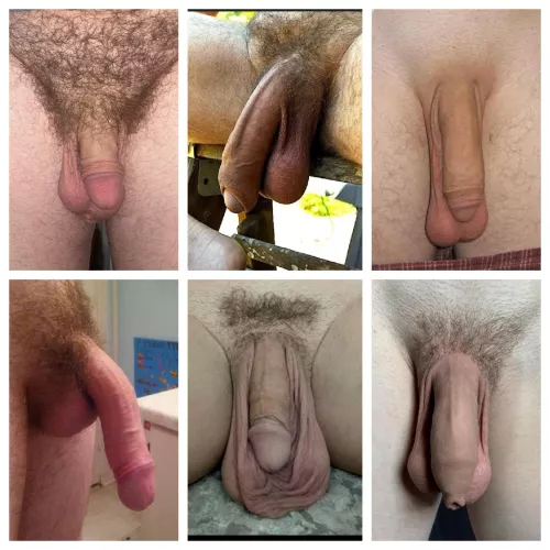 Softie competition - rank best to worst by wantsaggierballs