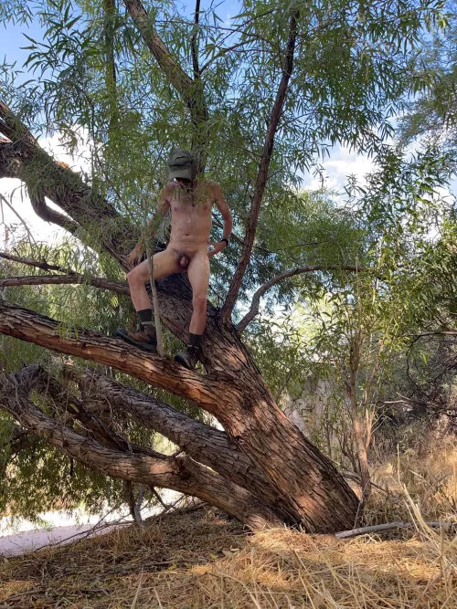 Tree pose Tuesday 🌲 by Boobluvr0069