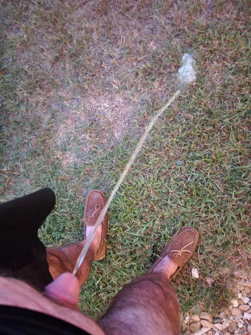 Well now by rooster0718