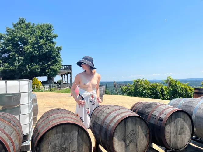 Went to the winery by msnovarider