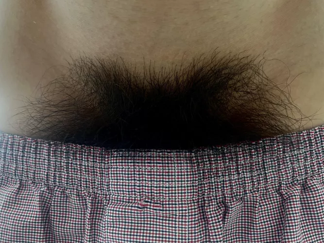 When you pull down his boxers and find a big hairy bush, what do you do? by HairyWildBush