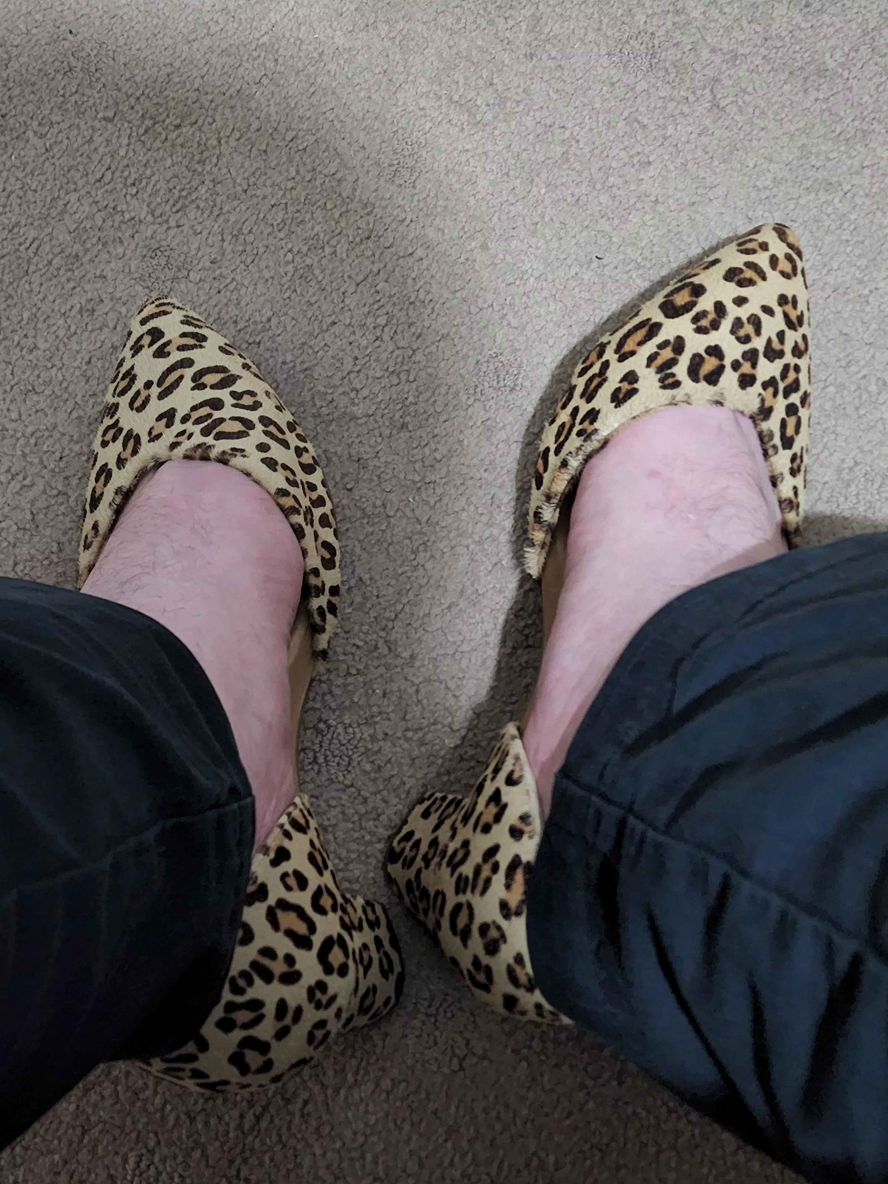 A colourful change for work drinks🙂 posted by Aussie_railfan_3801