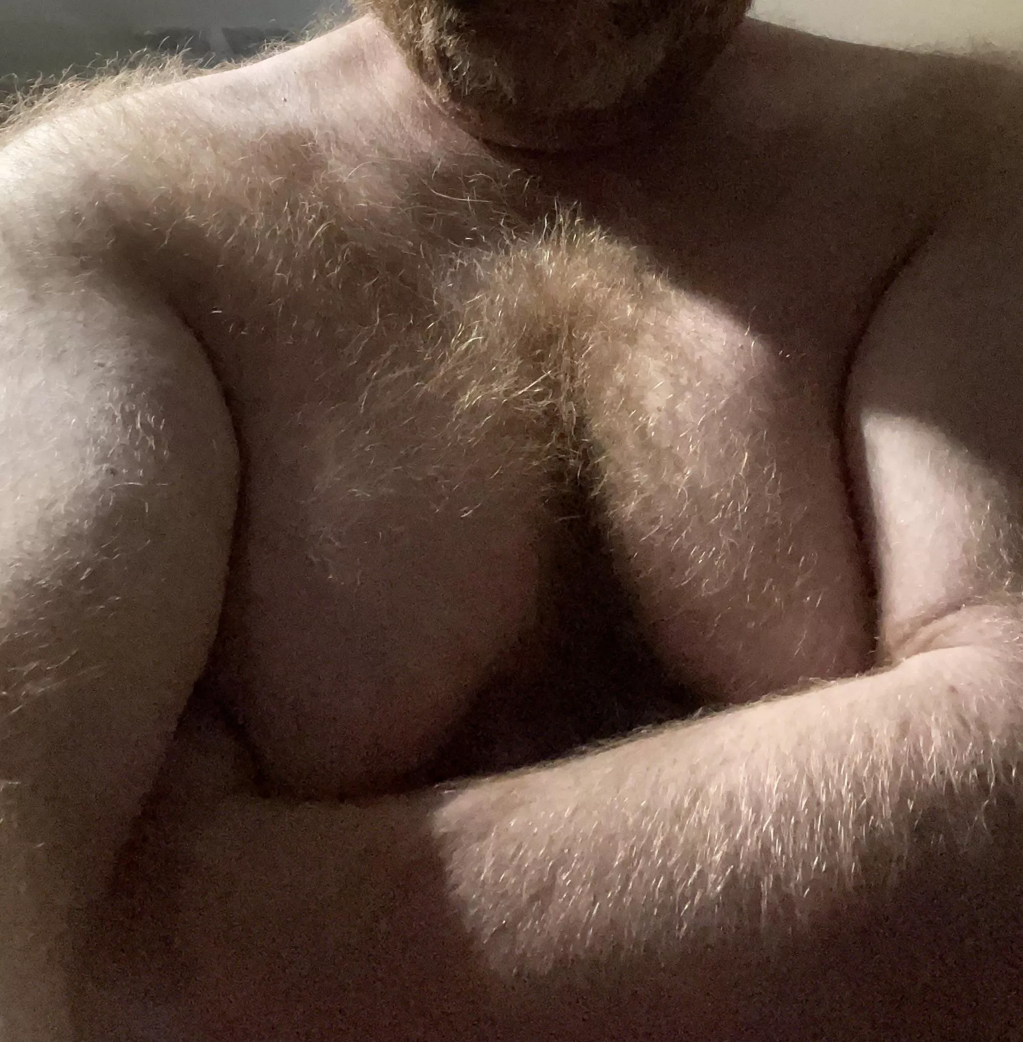 Bear for boy under 30 posted by GingerBearWA