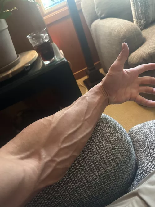 Bulging on a Tuesday by TomorrowsHistort9