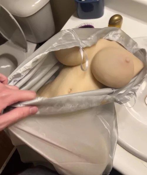 Does Anyone Recognize this Sex Doll by Aggravating_Salad375