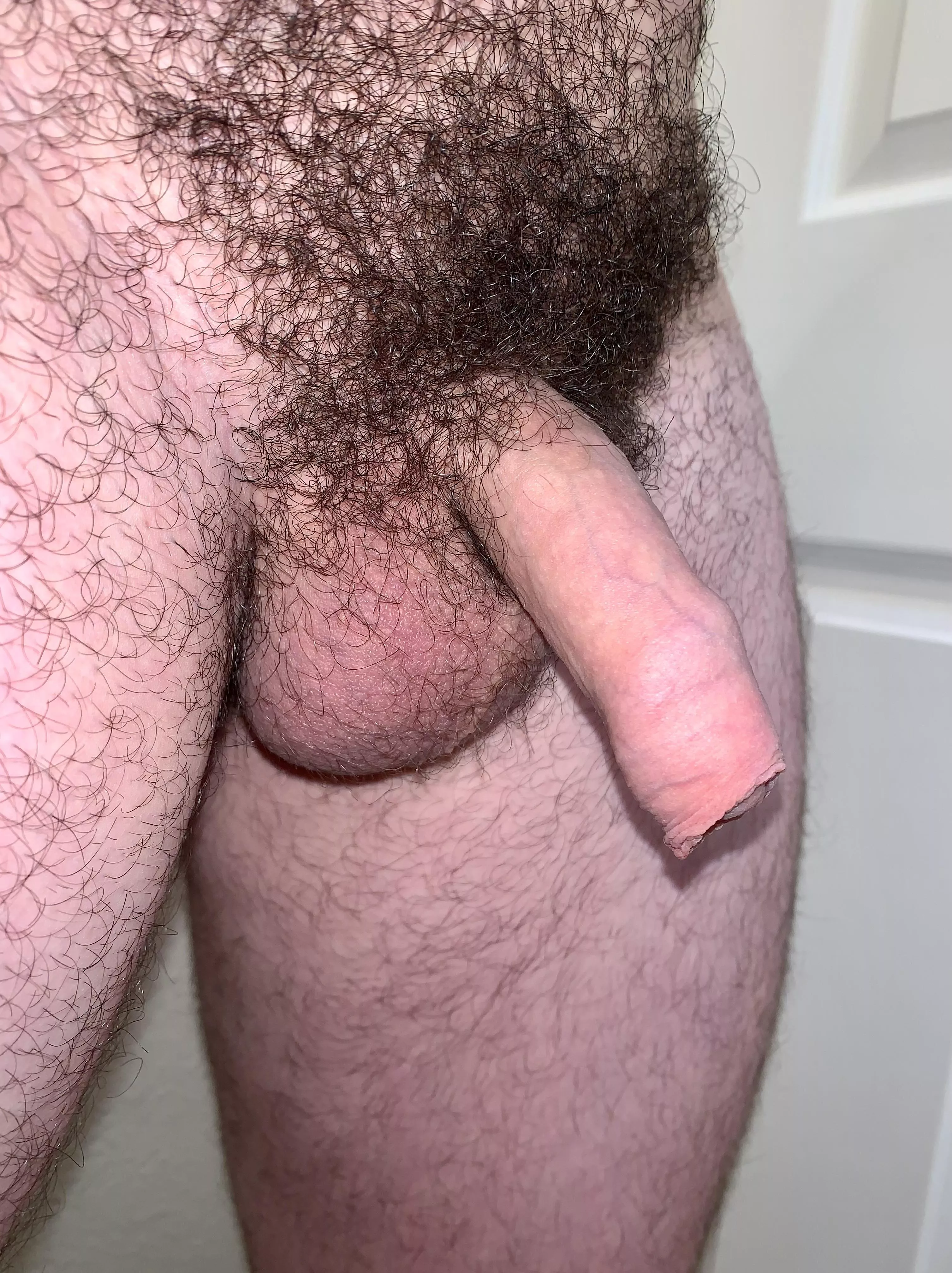 I love having black pubic hair with my pale skin . posted by coveredpurple