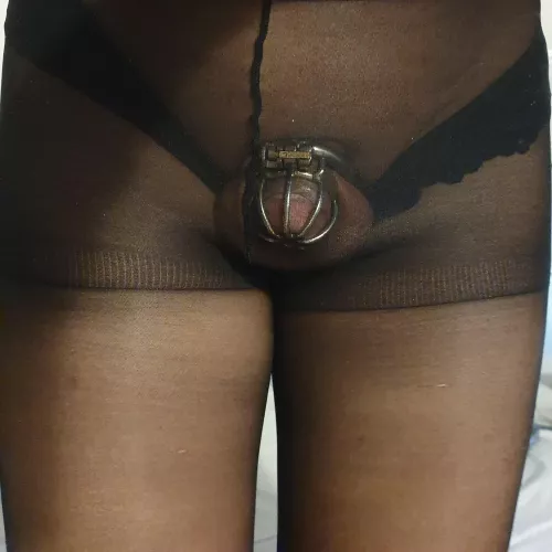 It looks better in a cage and pantyhose by KarleeMoon