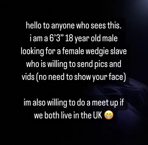 need a wedgie slave by wedgiegiver007