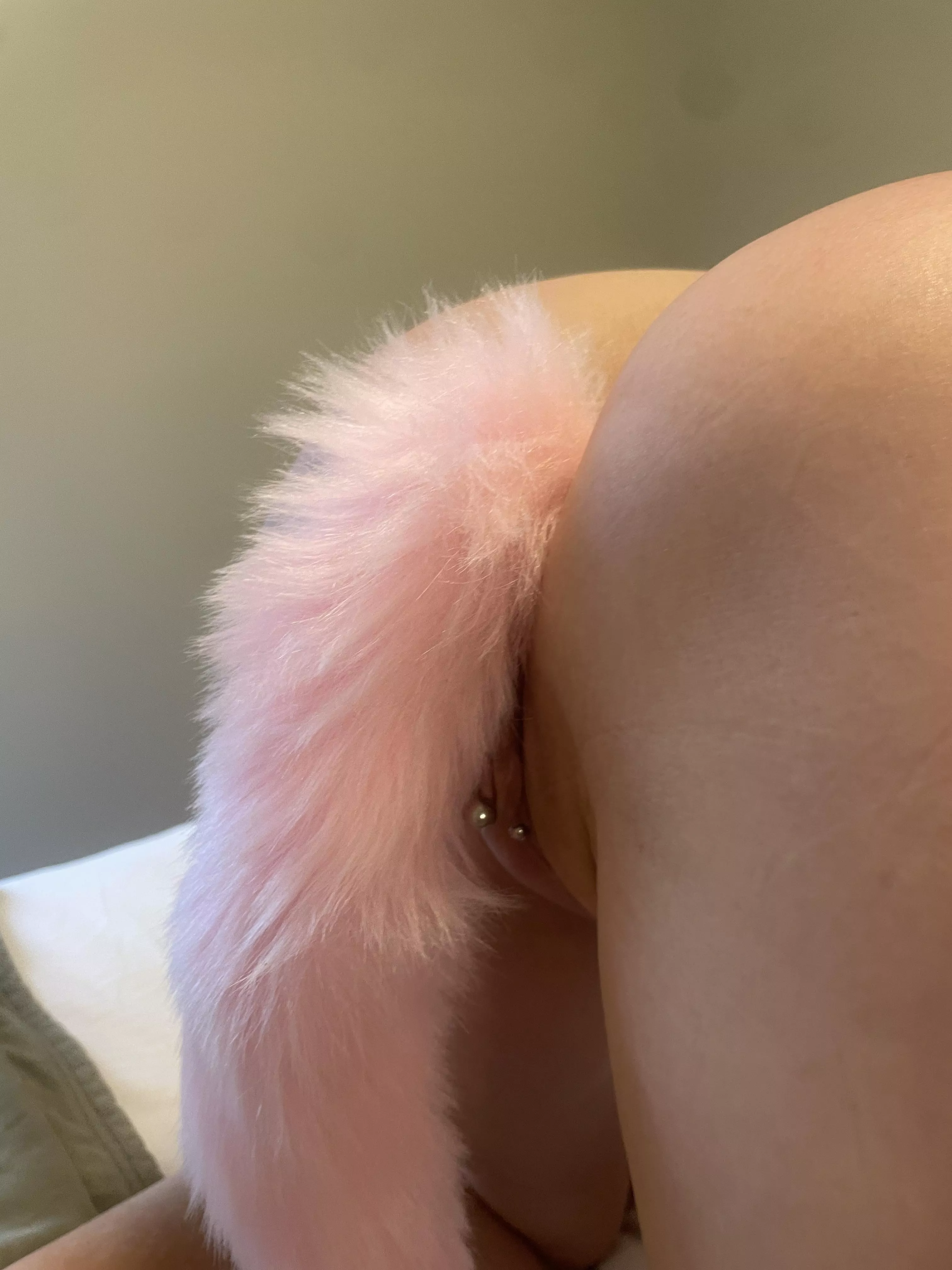 Ready to wag posted by Omg123456789012