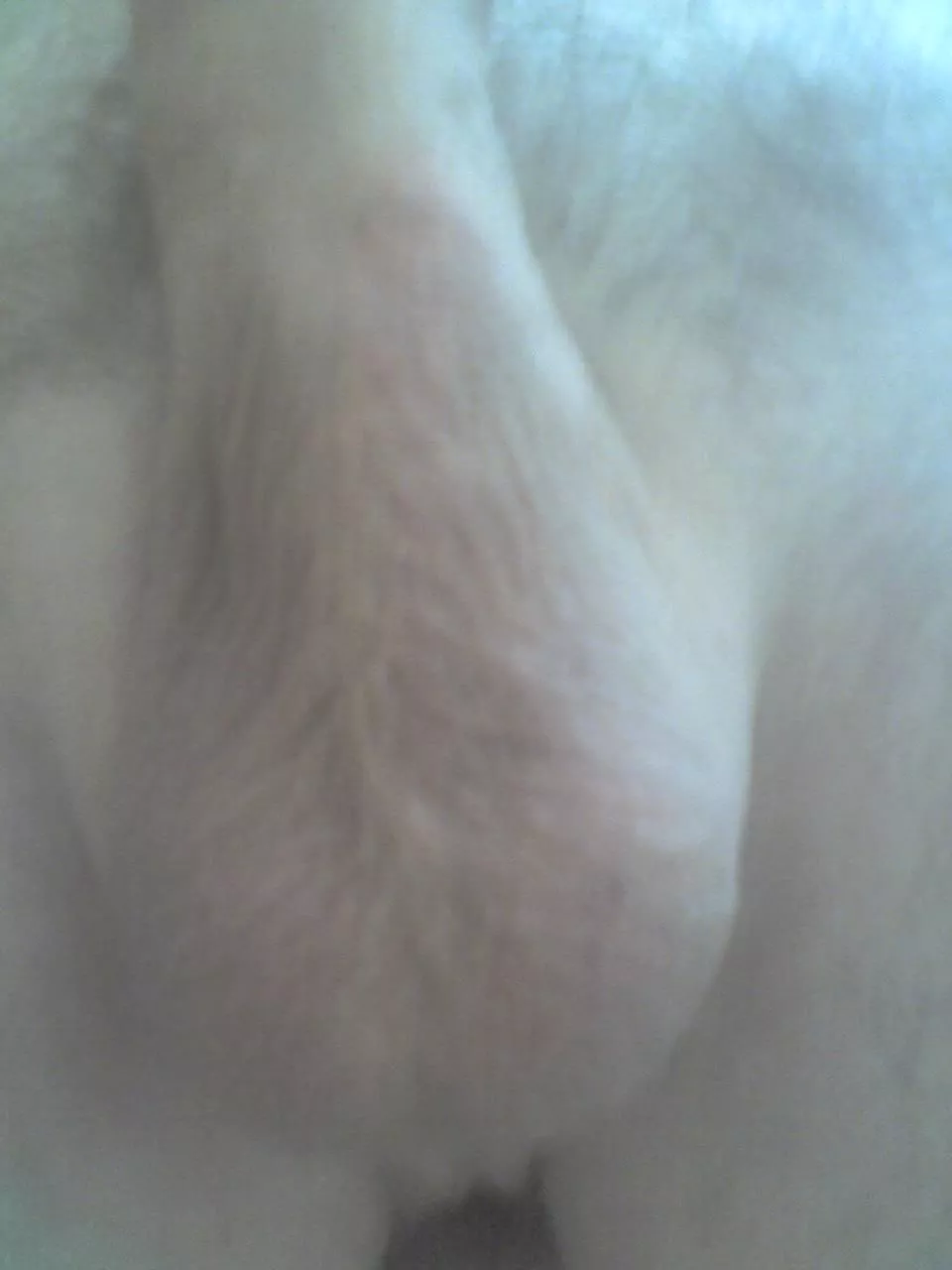 Shaven posted by gerryukuk