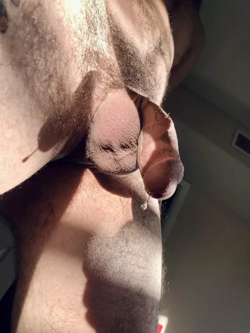 Sunkissed drop by collector_of_porn