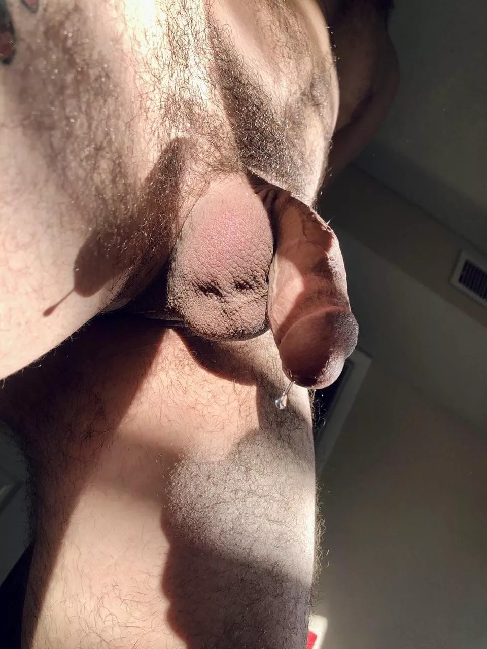 Sunkissed drop posted by collector_of_porn