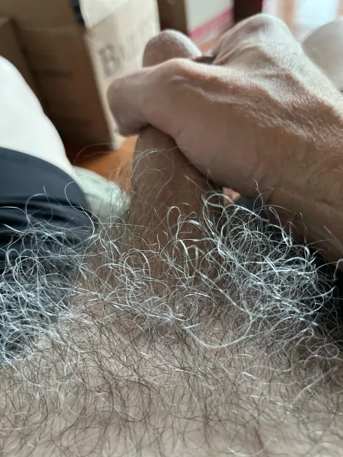Who likes gray pubes? by MikeKrakow1955
