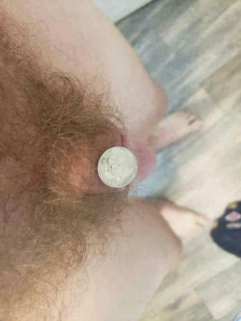 Who wants to see the king of growers? Let me know. 21+ only posted by Thr0waway19855891