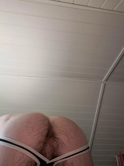 46 otter butt by Gany-mede77