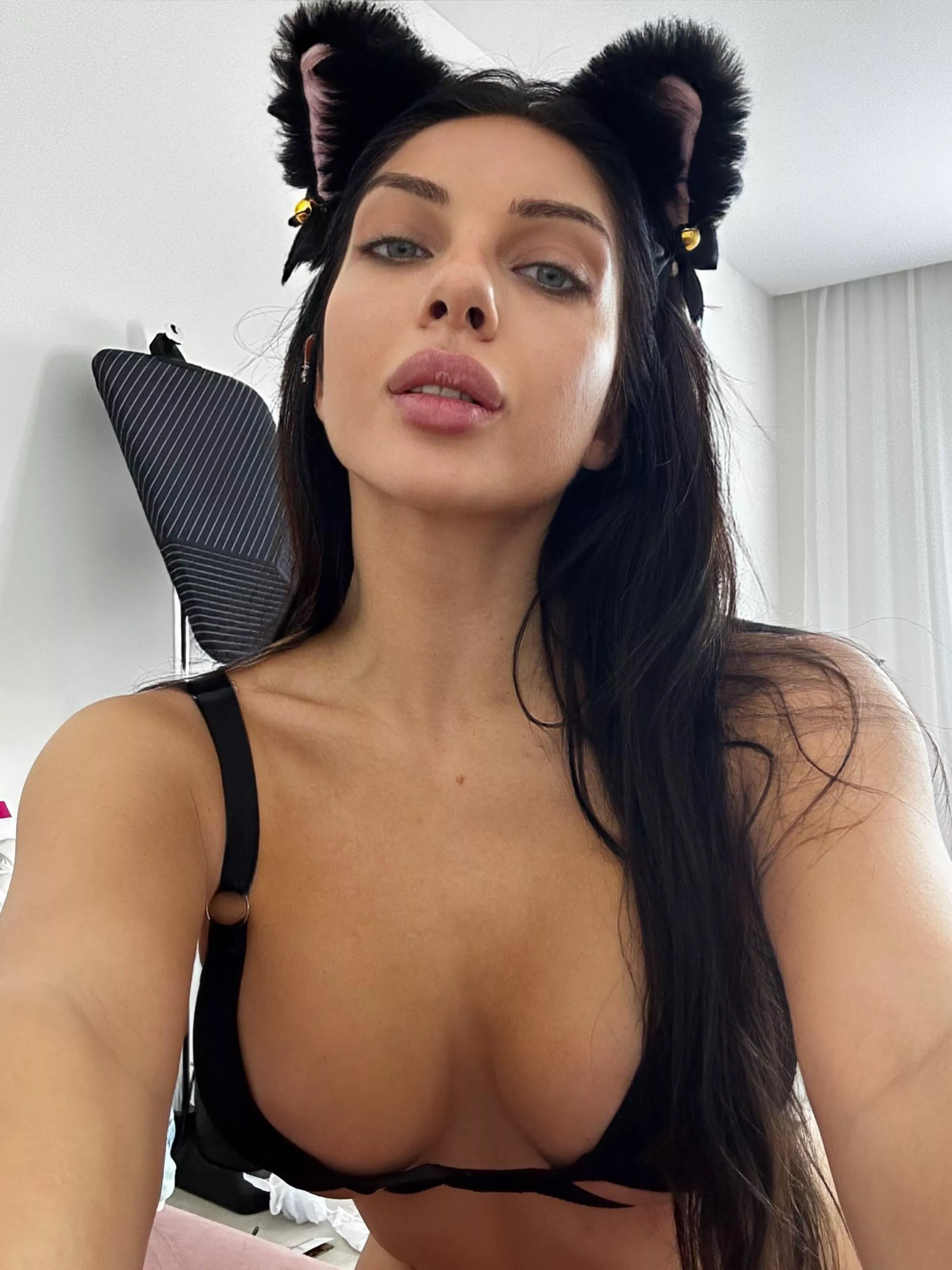 Black Kitty posted by Spinallygrass