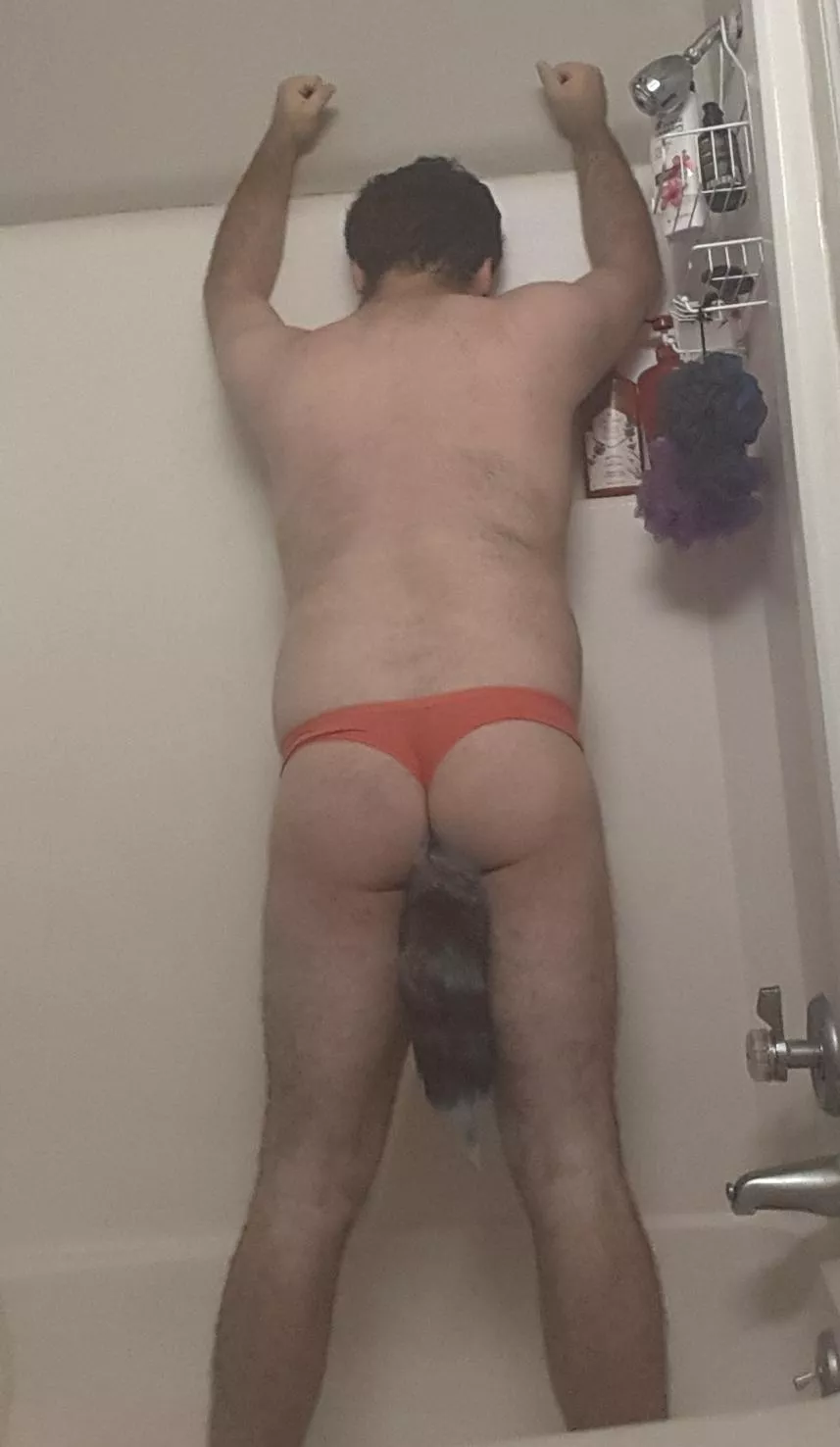 don't I look good with my tail daddy? posted by Bigboy21499