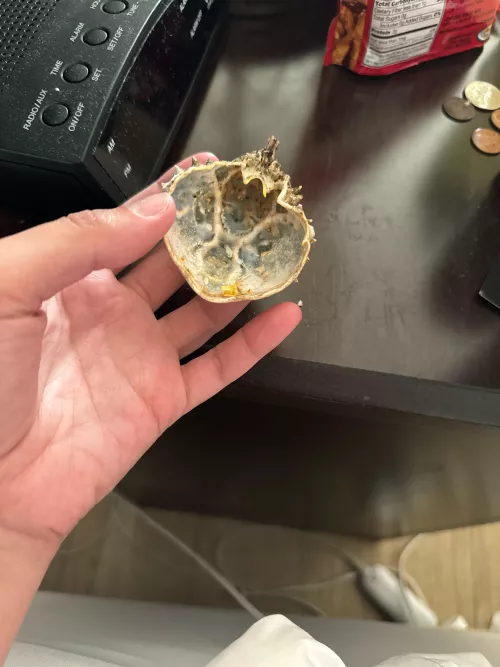 Found on Florida beach by PDKT1936