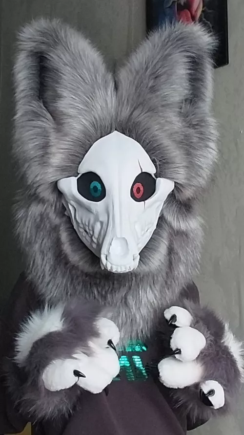 Hii! I'm a new fur looking for a fun time on reddit. by Kududo