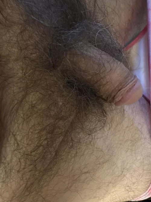 My hairy bush by rj4367