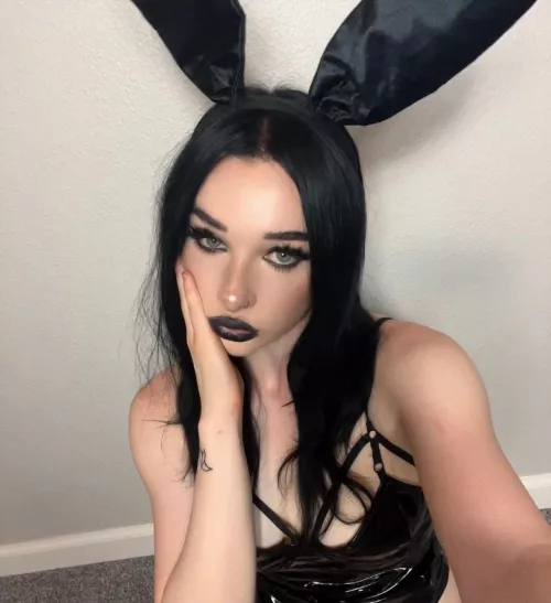 need a slutty bunny? by uregirl112