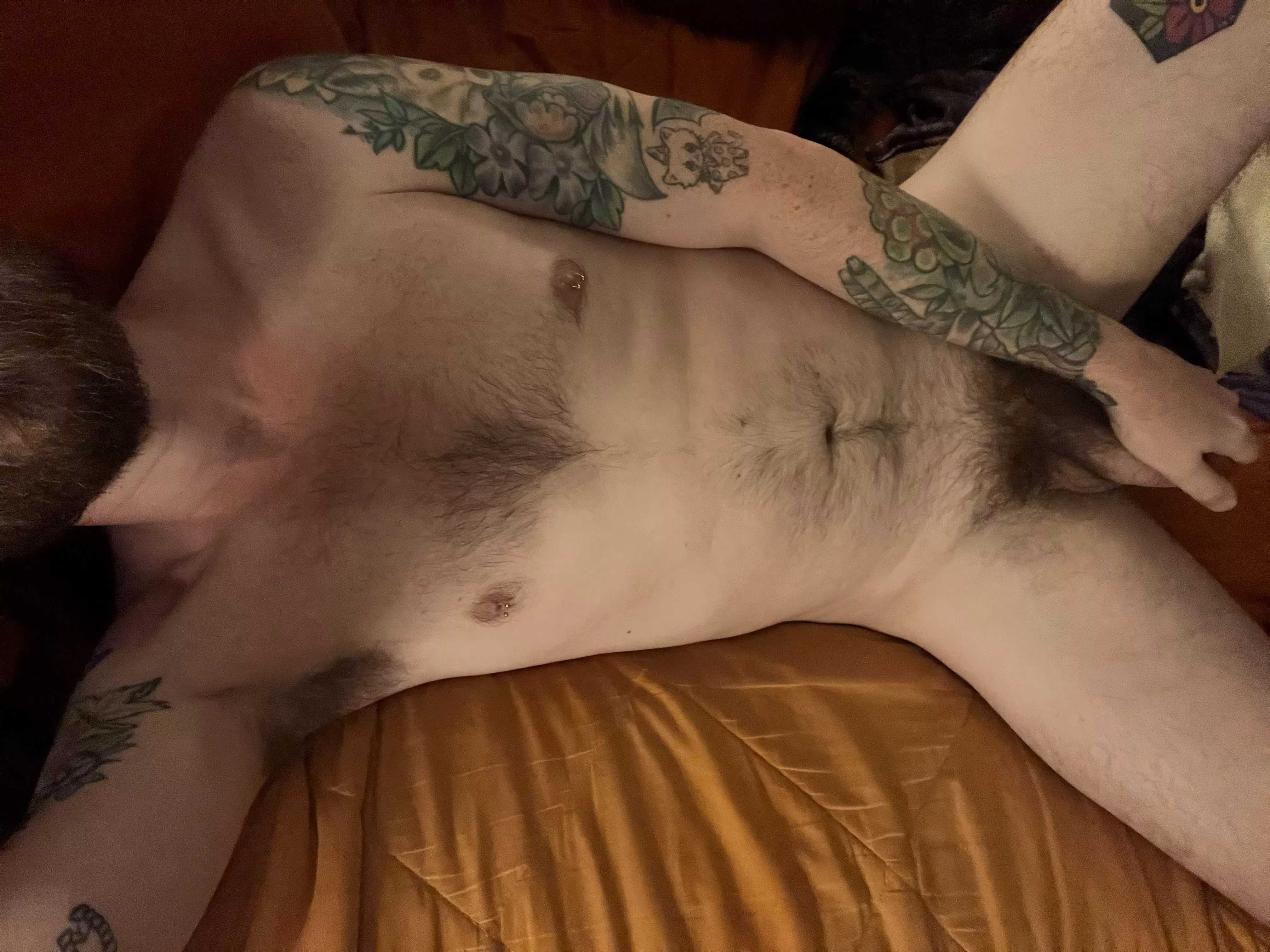 Not as hairy as some of you fuckers, but I hope you still like me 🤪 posted by jekyll_jacob