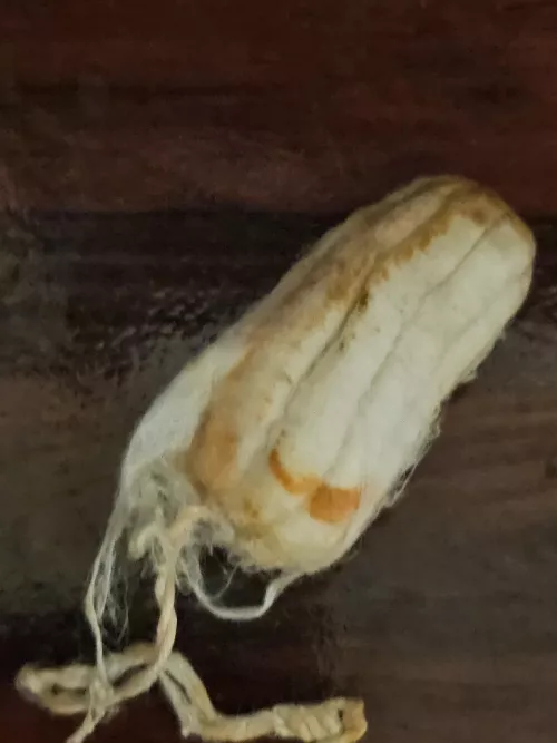 Think my sex doll is done, put a tampon in as far as it would go by Divinedragn4