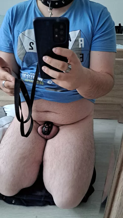 What would you do to me, if you hold my leash? by Submissive_Fabi