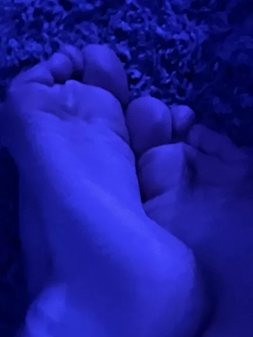 What would you do with them~? by SilyGirlAlt