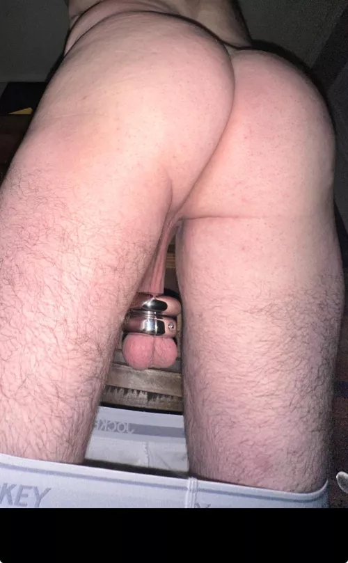 Working in some squats. Does this 🍑fit the bill by Stretch_Addition_522