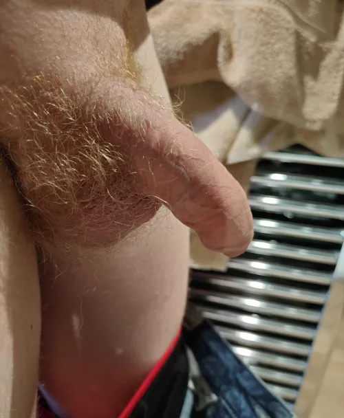 Any opinions? by OseRei