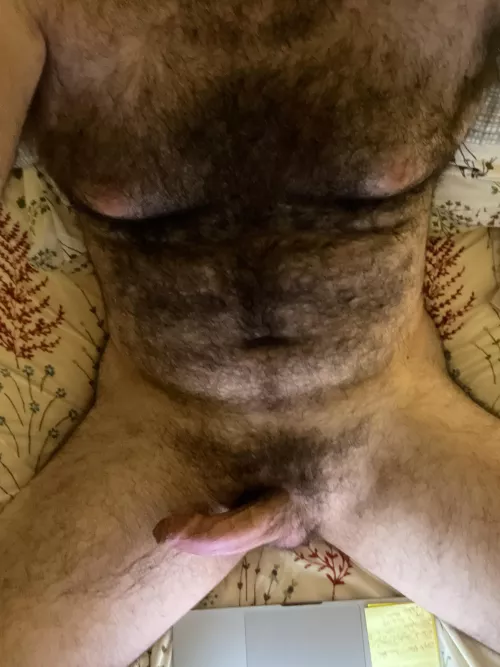 Chest hair, and a little more by jonic0