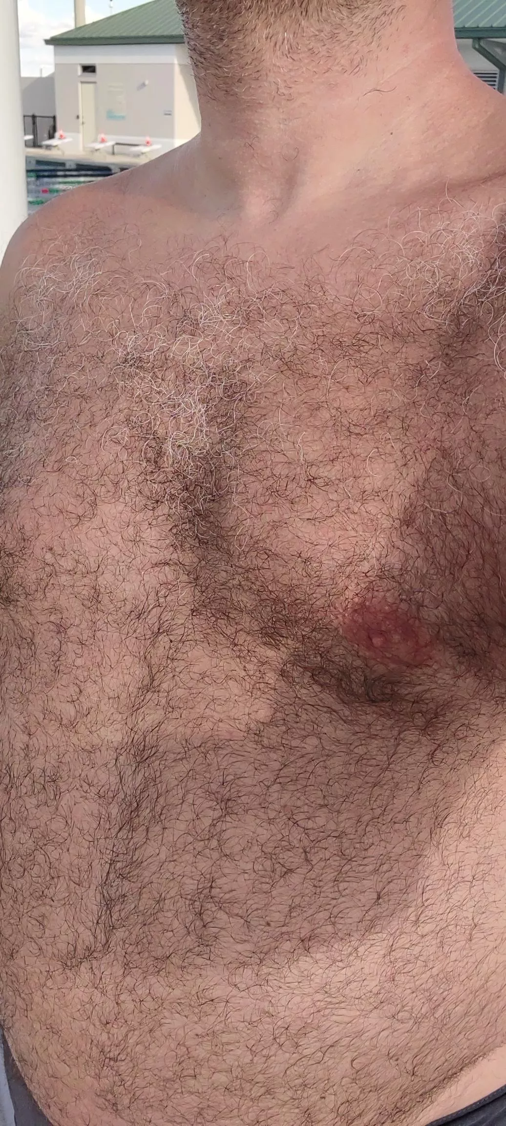 Hey posted by Diatryma65