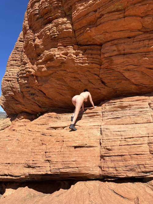 “I thought to myself, ‘I wouldn’t want to be poked by that cactus,’ but I’ll probably be poked by the guy taking my picture.” by xxbrookeecookeexx
