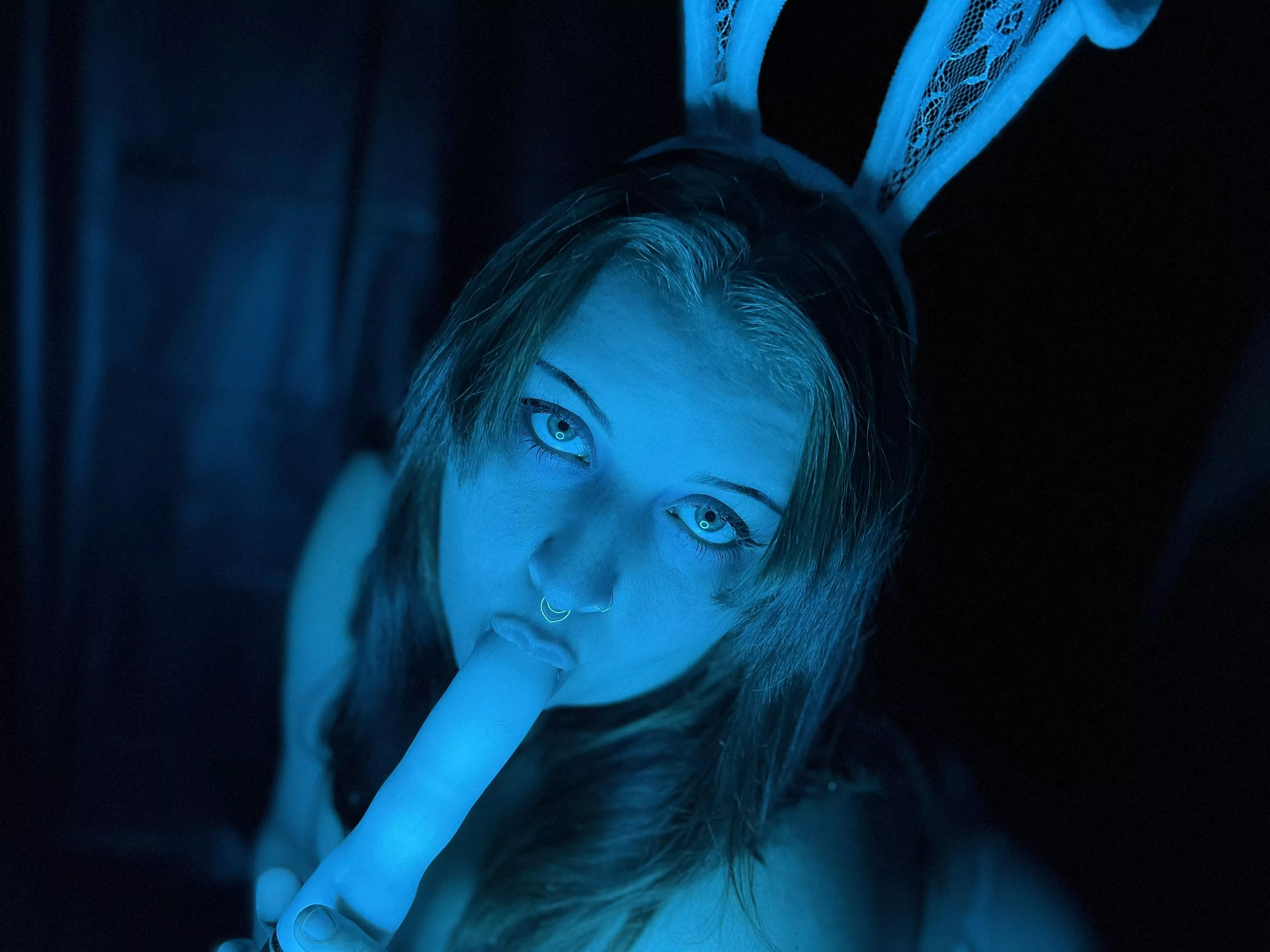 Last year I was a playboy bunny, what should I be this year? posted by IParradoxx