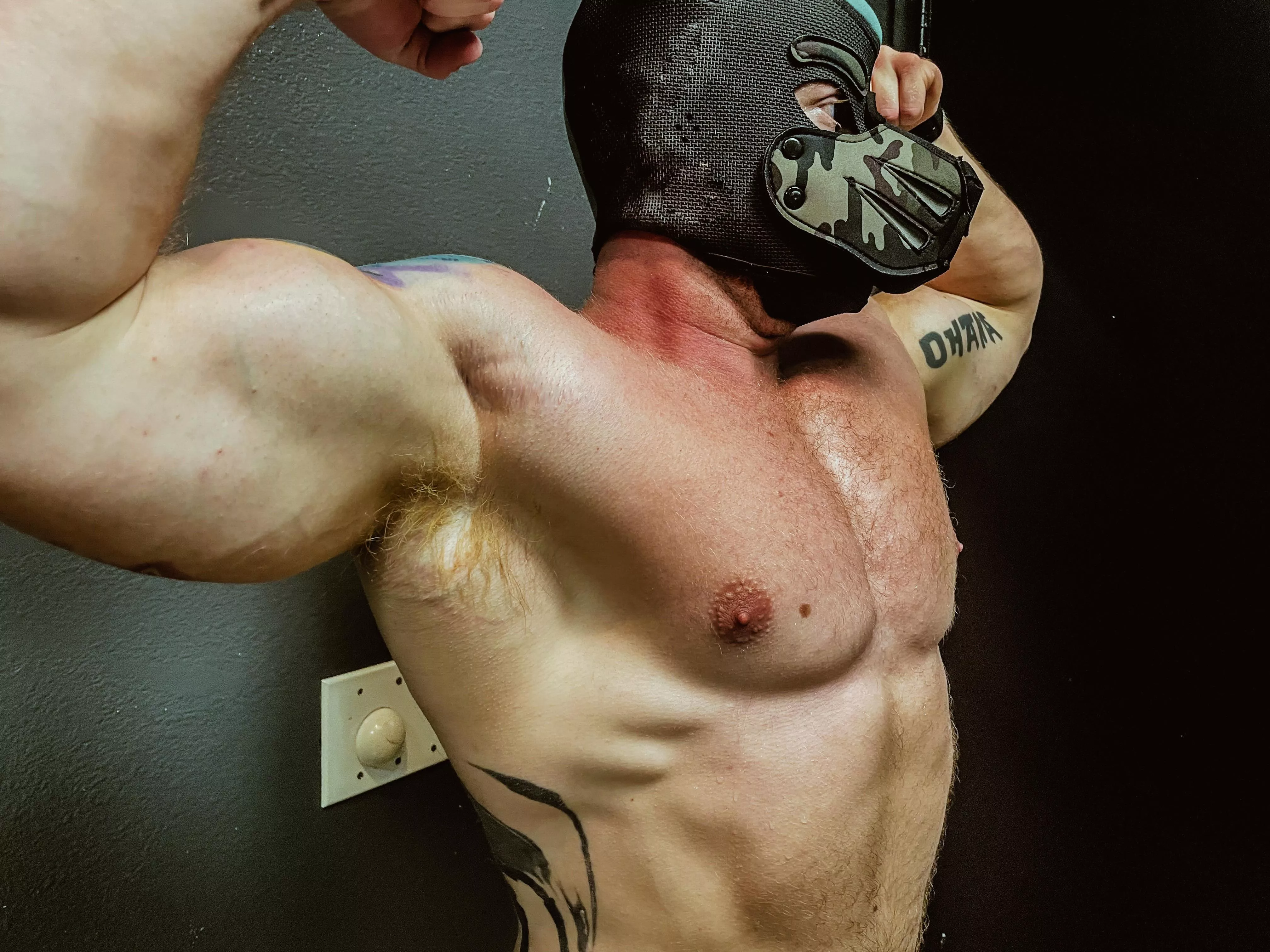 Musky Pup posted by musclepupflex