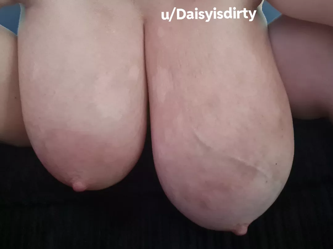 Pick one and knock yourself out posted by Daisyisdirty