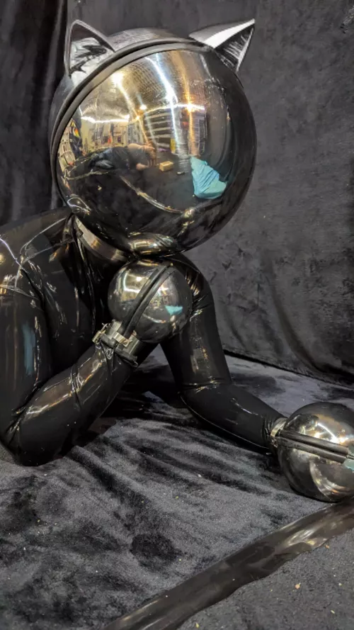 Sorry I'm not very cat girl! But this hood looks so cute with cat ears by AnnRoweX