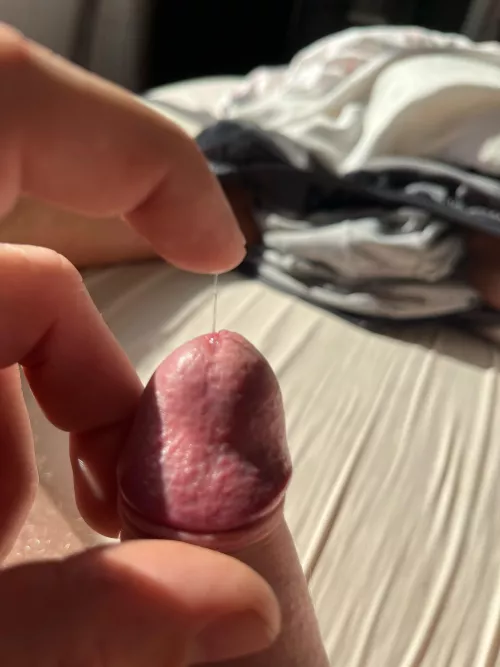 Sunshine by Active-Habit5569