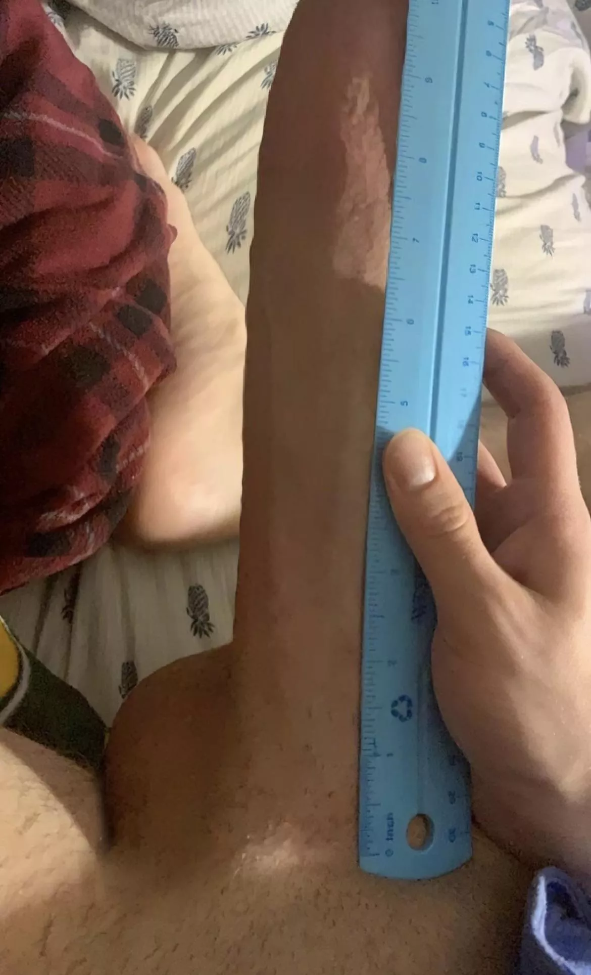 How big do you think I am? posted by bwcforfunn