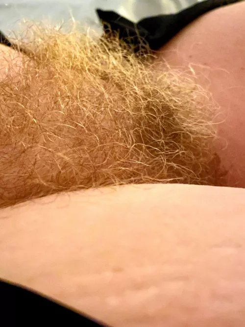 It’s every bit as soft as it looks. Thoughts? by GdoubleE67