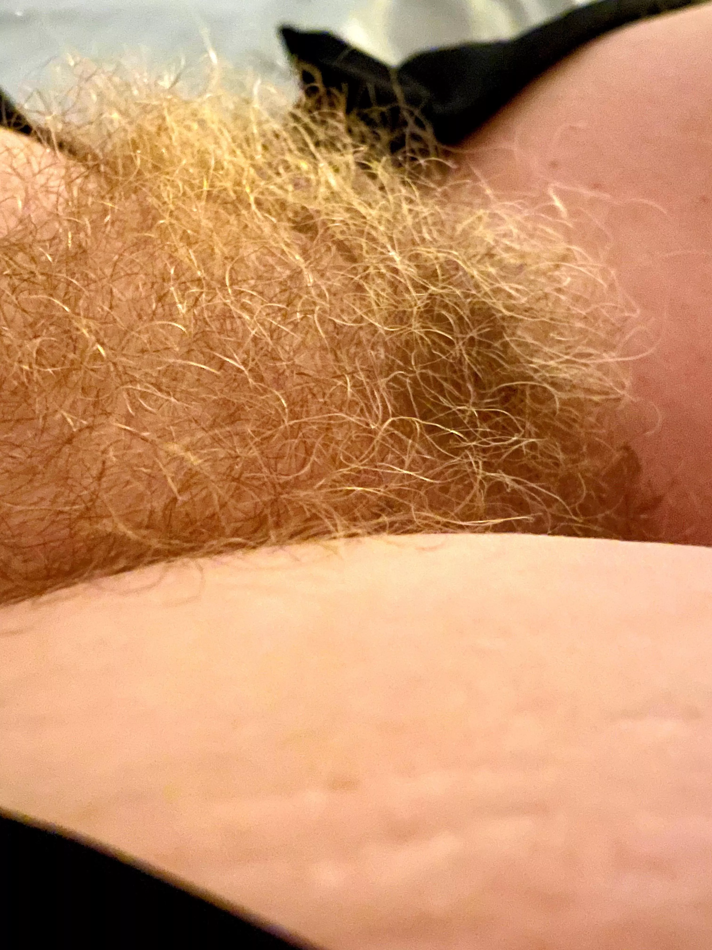 It’s every bit as soft as it looks. Thoughts? posted by GdoubleE67