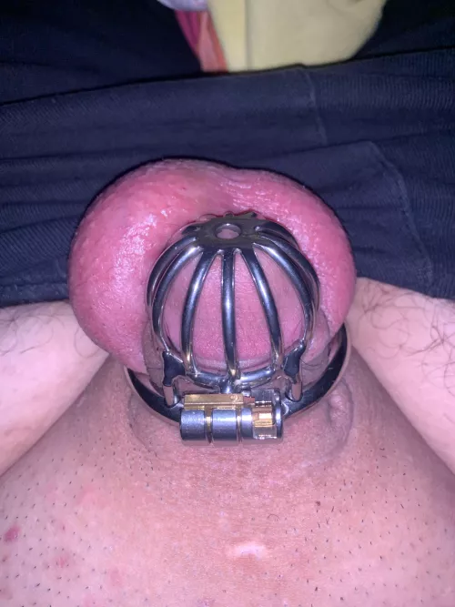 Just got my first cage I’ve been wearing it all day 😍😍 by Donaldick13
