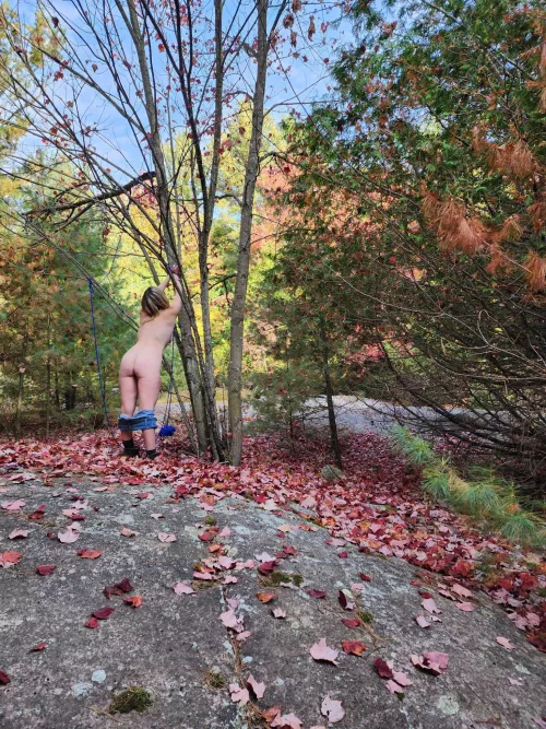 making the leaves fall early by Tinkertoys69