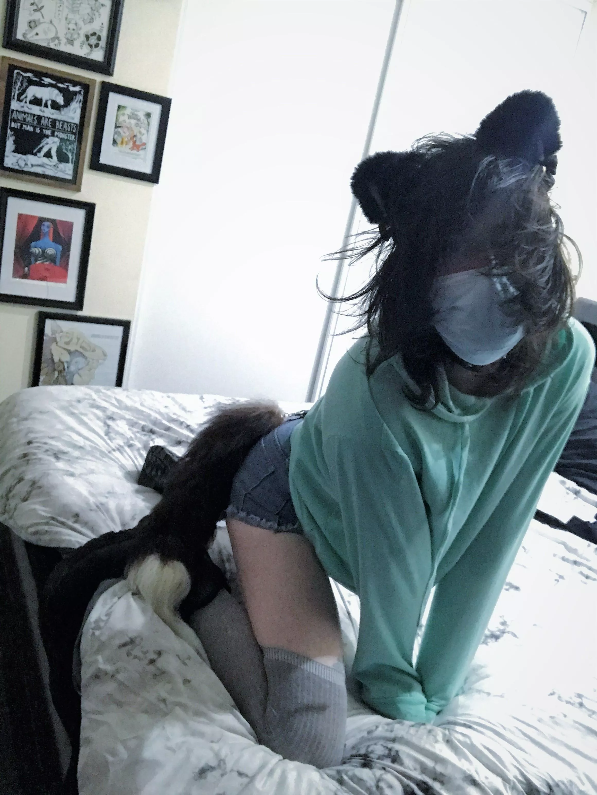 Meow? :3 posted by flipknifecat